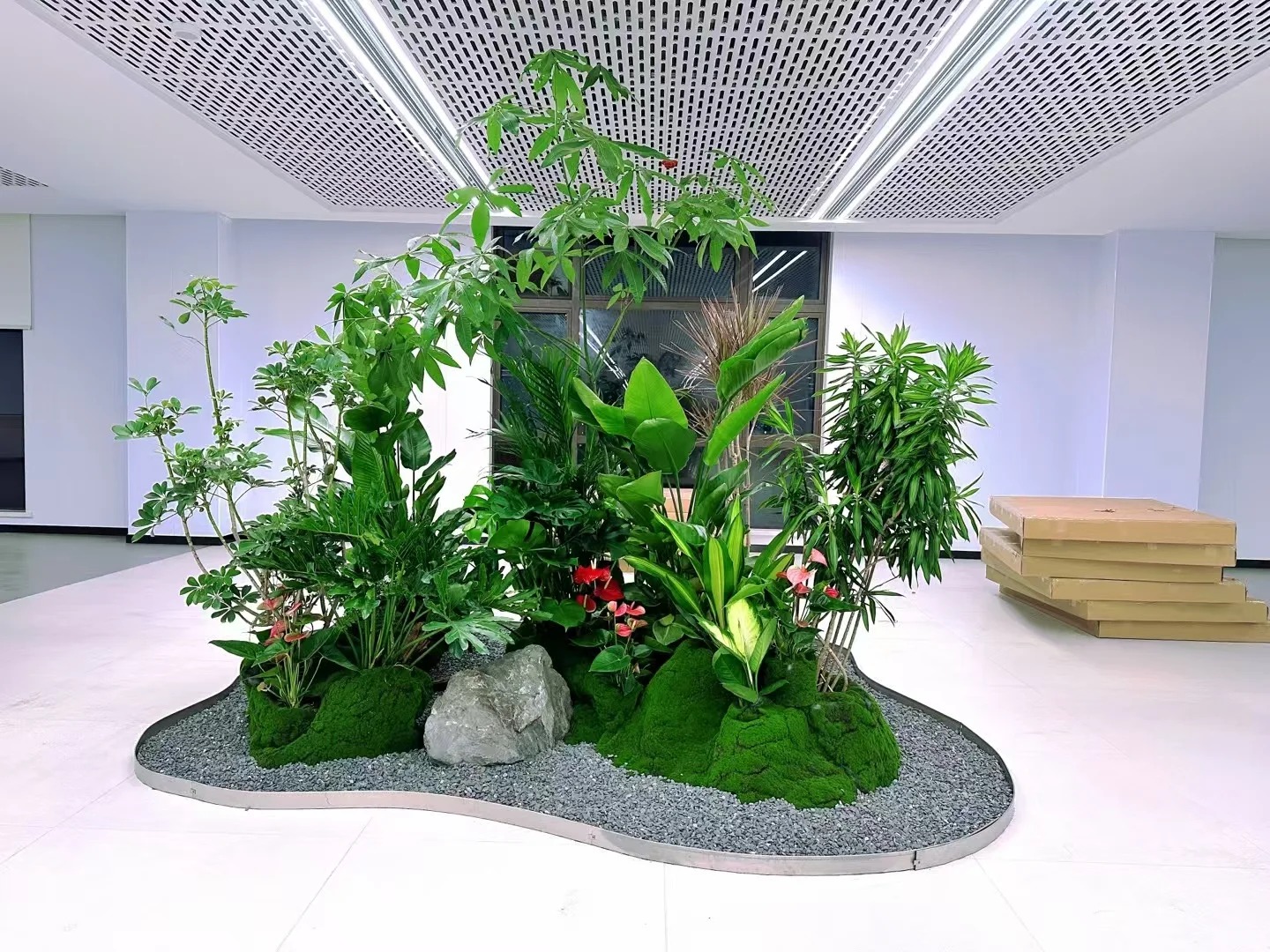 余姚植物租摆,为办公区域注入满满生机